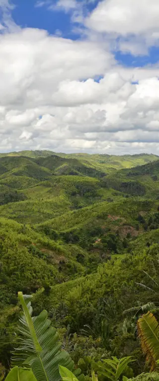 Capture the Journey: Madagaskar
